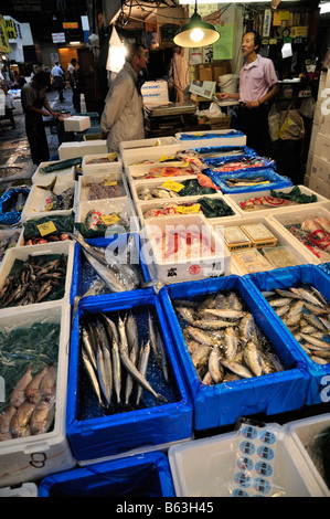 Fresh seafood and fish stall at the Tsukiji fish market, Tokyo, Japan 3/3 Stock Photo