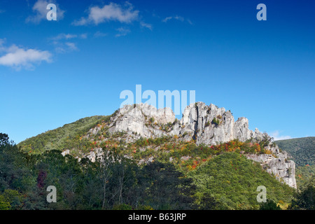 The large crag of Tuscarora quartzite that forms Seneca Rocks in Pendleton County West Virginia Stock Photo