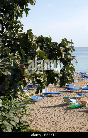 fig tree bay beach protaras cyprus mediterranean Stock Photo