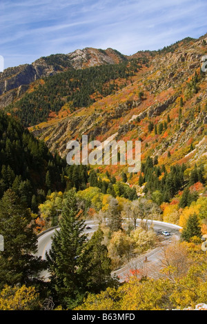 Aspens maples and spruce trees at the height of autumn along the curving road in Big Cottonwood Canyon part of the Wasatch Mount Stock Photo