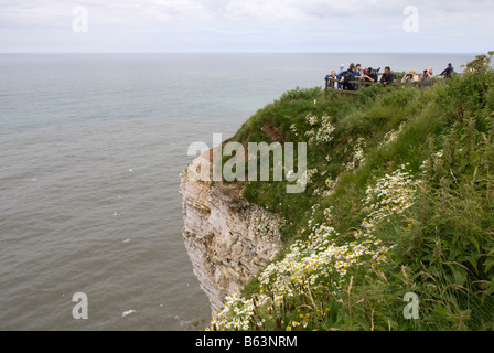 Bird watchers gather to see nesting birds on the cliffs at Bempton Cliffs RSPB Reserve East Yorkshire England Stock Photo