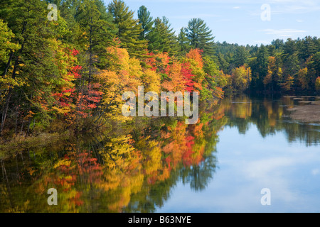 Fall trees along the banks of the Ossipee River, Maine, New England, USA. Stock Photo