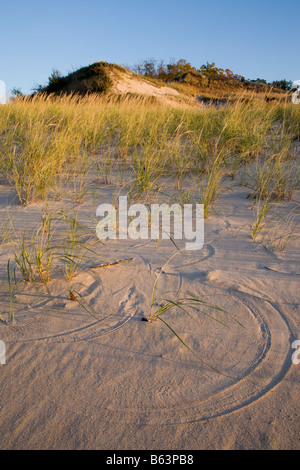 pattern in sand from wind blown grasses, Indiana Dunes State Park, Indiana Stock Photo