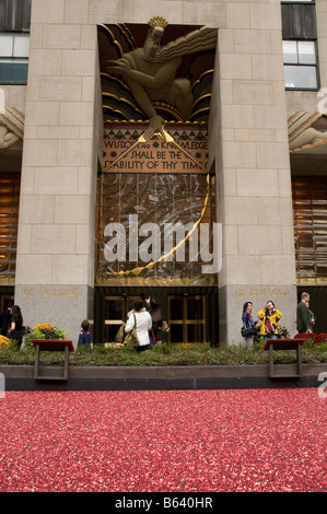 Cranberry bog installed as an publicity stunt near the GE Building at Rockefeller Center, Manhattan, New York, USA. Stock Photo