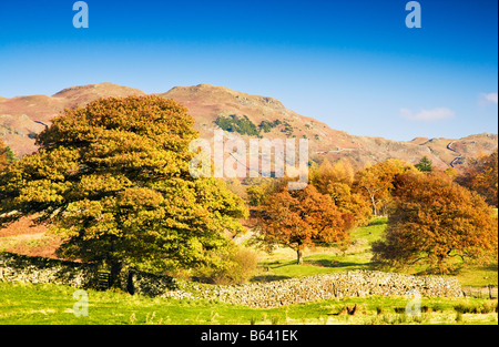 Typical sunny autumn day landscape scenery view in the Lake District National Park, Cumbria, England, UK Stock Photo