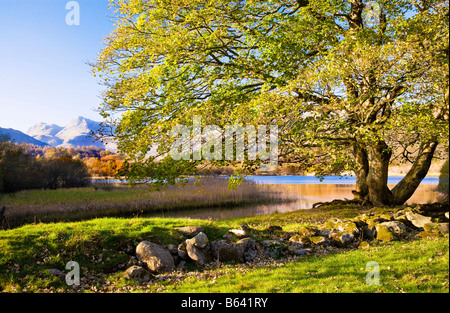 Autumn view across the River Brathay by Elterwater to the distant Langdale Pikes in the Lake District, Cumbria, England, UK Stock Photo