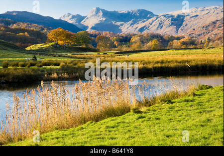 Autumn view across the River Brathay to the distant Langdale Pikes in the Lake District National Park, Cumbria, England, UK Stock Photo