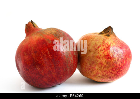 Two whole pomegranates - studio shot, white background Stock Photo