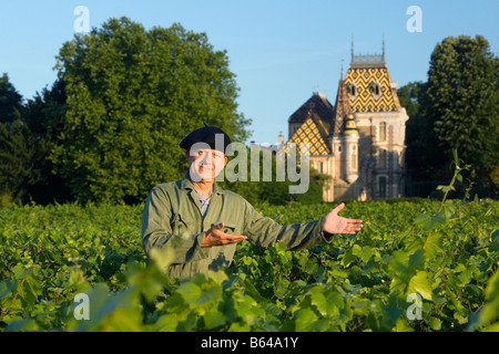 France, near Beaune, Burgundy, Village: Afoxe-Corton. Castle: Andre Corton. Vineyard, Winegrower. Stock Photo