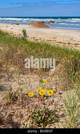 The Granites Kingston Limestone Coast South Australia Stock Photo