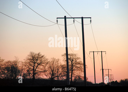 A row of electricity poles in the countryside of north east Scotland. Stock Photo