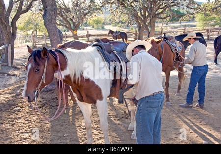 Texas Hill Country, Dixie Dude Ranch, cowboy ranch hands saddling riding horses Stock Photo