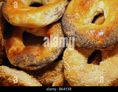 Fresh Montreal bagels, sesame and poppy, black seeds, piled together. Montreal (Canada) is known for this east-European treat. Stock Photo