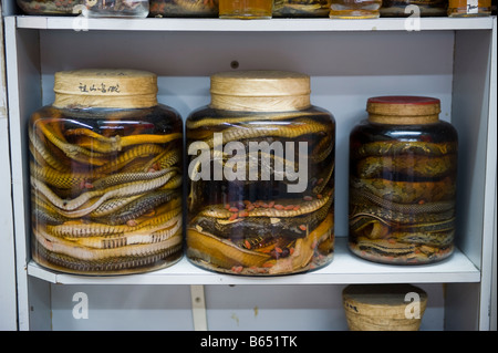 Snakes are ready to eat in crystal boxes at Mong Kong district in Hong Kong Stock Photo