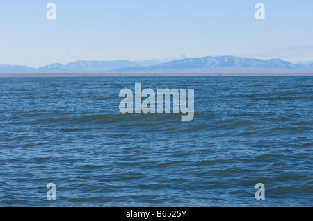 seascape of the Beaufort Sea off the coast of the Arctic National Wildlife Refuge Brooks Range in the distance Alaska Stock Photo