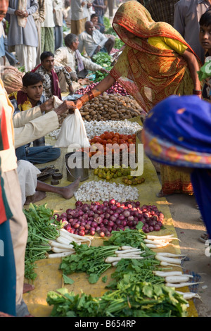 India, Lucknow, Uttar Pradesh, Countryside near Rae Bareli, Market. Stock Photo