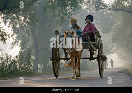 India, Lucknow, Uttar Pradesh, Countryside near Rae Bareli, Morning street scene. Oxcart. Stock Photo