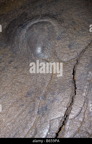 Portugese biggest Volcanic Cave Gruta das Torres Pico Island Azores Portugal Madonna Stock Photo