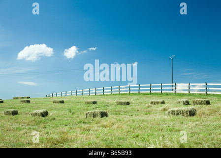 Bales of hay in a field Stock Photo