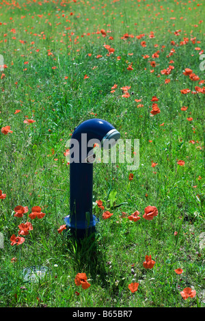 Water spigot in field of poppies