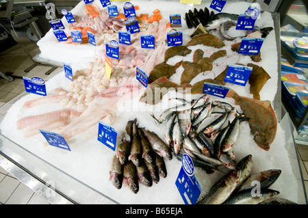 Fish counter, French Supermarket Stock Photo
