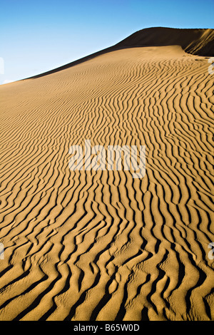 Wind blown ripples in sand dunes Maspalomas Gran Canaria Spain Stock Photo