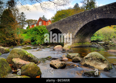 River Dart at Dartmeet on Dartmoor Devon flowing through autumnal woodland with fallen leaves all around Stock Photo