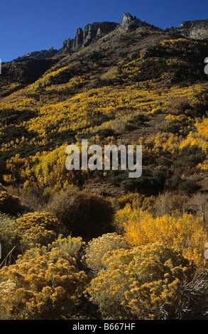 Mountain Scenery Ruby Mountains Elko Nevada US Stock Photo