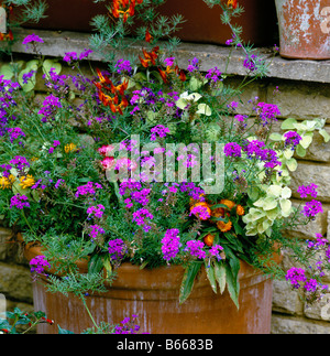 Planted Terracotta Container with summer flowers Stock Photo