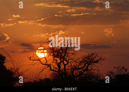Sunset over the Chobe River in Botswana Stock Photo