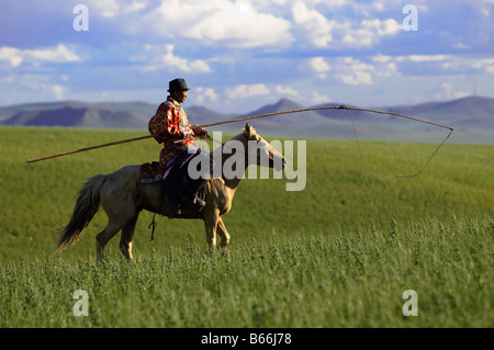 Grasslands herdsman on horseback catches horse with rope and pole Stock ...