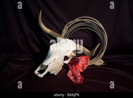 A bleached steer skull with horns coiled rope and bandana on a black background Stock Photo