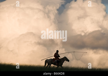Grasslands herdsman on horseback catches horse with rope and pole Stock ...