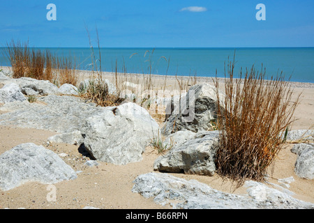 The Illinois Beach State Park at Lake Michigan near the towns of Zion and Waukegan, Illinois, USA Stock Photo