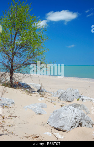 The Illinois Beach State Park at Lake Michigan near the towns of Zion and Waukegan, Illinois, USA Stock Photo