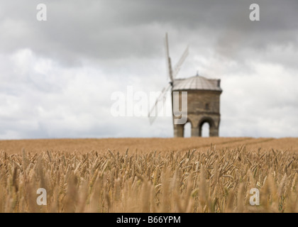 A stone windmill in a cornfield - focus on the corn crop Stock Photo