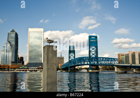 Seagull standing on a cement piling by the river in from of the Main Street Bridge across from the city of Jacksonville Florida Stock Photo