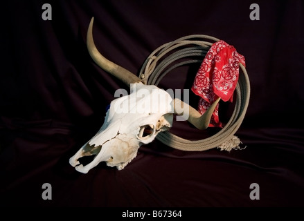 A bleached steer skull with horns coiled rope bandana and cowboy hat on a black background Stock Photo
