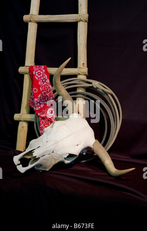 A bleached steer skull with horns coiled rope ladder and bandana on a black background Stock Photo
