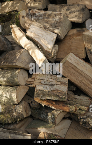 Stacked Logs for Firewood Stock Photo