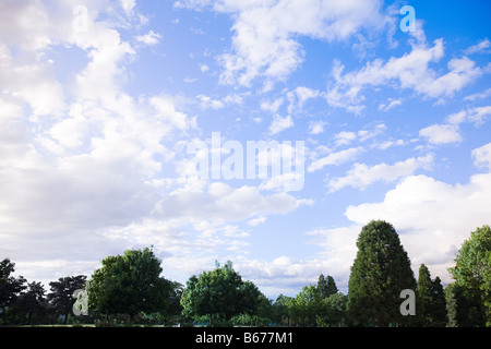 Clouds over trees Stock Photo