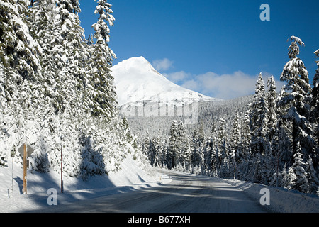 Snow covered trees near mount hood Stock Photo