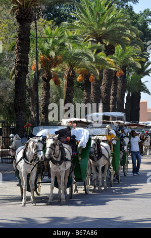 Horse and Buggy, Marrakesh, Morocco Stock Photo