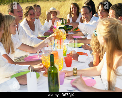 People having dinner in a field