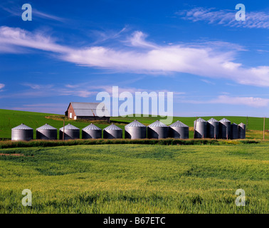 WASHINGTON Barn and grain silos in the fertile Palouse area of Eastern Washington Stock Photo