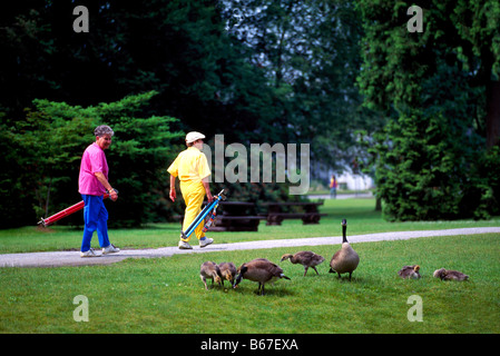 Burnaby, BC, British Columbia, Canada - Active Senior Golfers walking with Golf Clubs at Central Park Golf Course Stock Photo