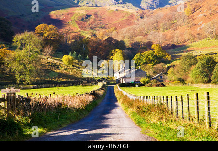 Track leading to Glencoyne farm near Ullswater in the Lake District Cumbria England UK Stock Photo