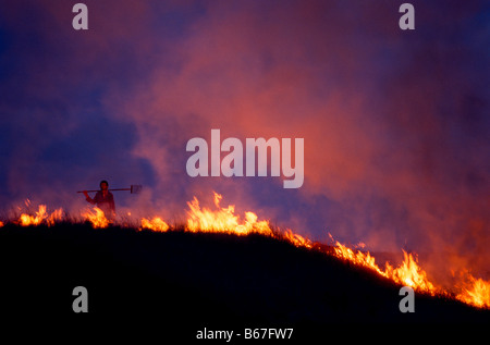 Grassfire, Australia Stock Photo