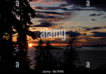 Winchelsea Islands dramatic sunset through conifers at north Nanaimo Vancouver Island BC in July Stock Photo