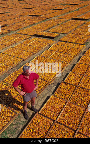 Dried fruit, South Australia Stock Photo